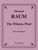 Raum - The Witness Pixel for Three Trombones