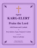 Karg-Elert - Praise the Lord with Drums and Cymbals for Brass Quintet, Organ and optional Percussion