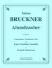 Bruckner - Abendzauber for solo Contrabass Trombone and Trombone Ensemble